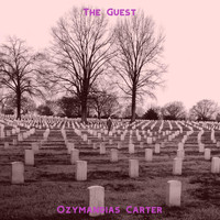 Ozymandias Carter - The Guest