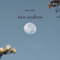 Willows - Two Wolves