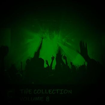 Various Artists - The Collection Volume 8 (Explicit)