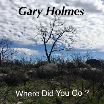 Gary Holmes - Where Did You Go