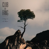 Club & Fang - 5 Songs in A Minor