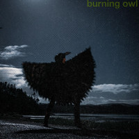 Chris White - Burning Owl