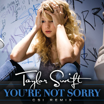 Taylor Swift - You're Not Sorry (CSI Remix)