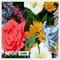 Imprint - Bloom