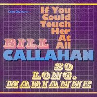 Bill Callahan - If You Could Touch Her at All