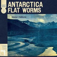 Flat Worms - Market Forces