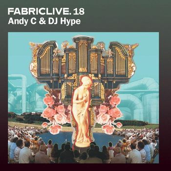 Various Artists - FABRICLIVE 18: Andy C & DJ Hype