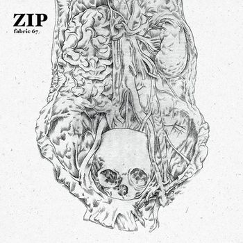 Various Artists - fabric 67: Zip