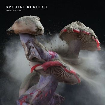 Various Artists - FABRICLIVE 91: Special Request