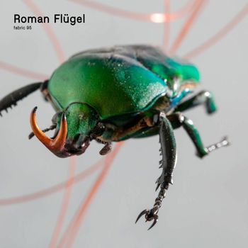 Various Artists - fabric 95: Roman Flügel