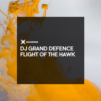 DJ Grand Defence - Flight of The Hawk