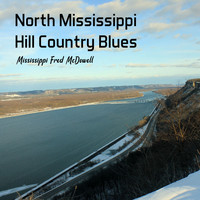 Mississippi Fred McDowell - North Mississippi Hill Country Blues