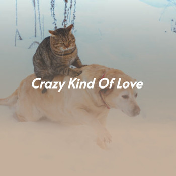Various Artists - Crazy Kind of Love