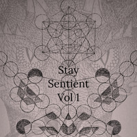 Embodimensional - David Jackson / - Stay Sentient, Vol. 1