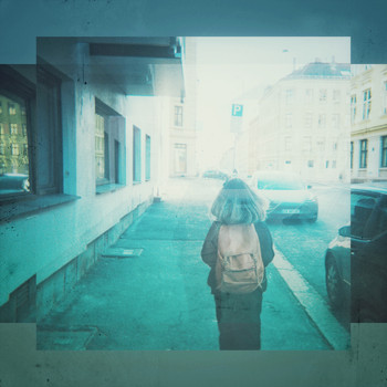 VASI - Fidelity