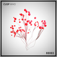 Cusp - Who
