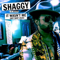 Shaggy - It Wasn't Me (Hot Shot 2020) [feat. Rayvon]