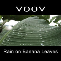 VOOV / - Rain on Banana Leaves