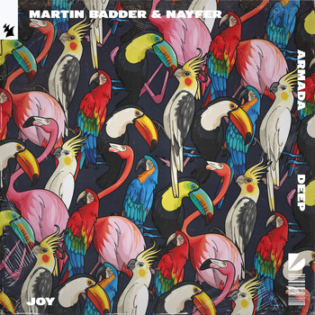Martin Badder & NAYFER - Joy