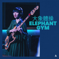 Elephant Gym and Audiotree - Elephant Gym on Audiotree Live