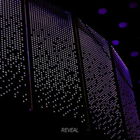 Reveal - Don't Try It (Explicit)