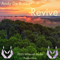 Andy De Baeke - Revive