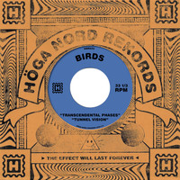 Birds - Transcendental Phases / Tunnel Vision
