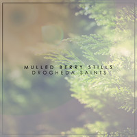 Drogheda Saints - Mulled Berry Stills