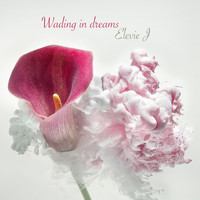 Elevie J - Wading in dreams
