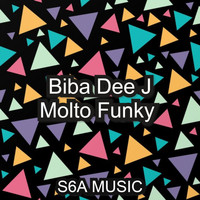 BIBA DEE J - Molto Funky