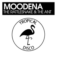 Moodena - The Rattlesnake & The Ant