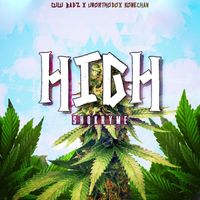 Shokryme - High