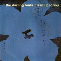 The Darling Buds - It's All Up To You