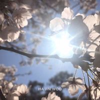 Ha Jin Woo - Cherry Blossom