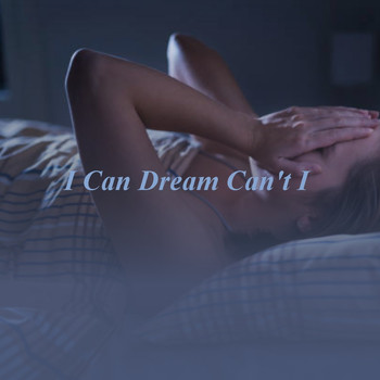 Various Artists - I Can Dream Can't I