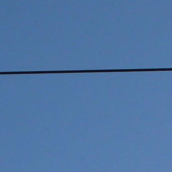 SRA - Phono:Matik