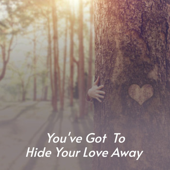 Various Artists - You've Got to Hide Your Love Away