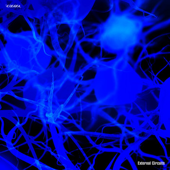 Various Artists - External Circuits