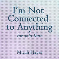 Micah Hayes - I'm Not Connected to Anything