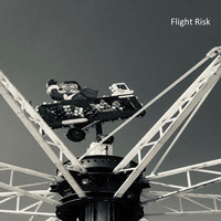 Atoms - Flight Risk