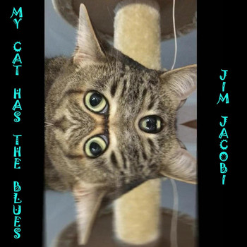 Jim Jacobi - My Cat Has the Blues
