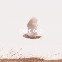Hayley Sabella - Cape Cod
