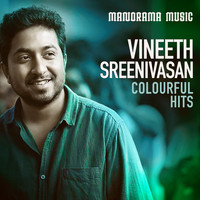 Vineeth Sreenivasan - Colourful Hits Vineeth Sreenivasan
