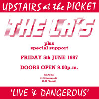 The La's - Live & Dangerous (Live at the Picket 5/6/1987)