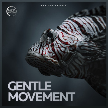 Various Artists - Gentle Movement (Explicit)