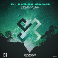 Soul Player - Disappear (feat. Aisha Kabir)