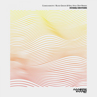 Invisible Brothers - Cosmochemistry