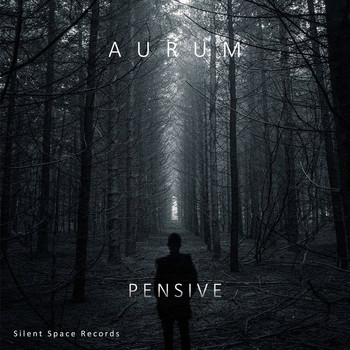 Aurum / - Pensive