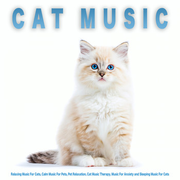 Anxiety music 2024 for cats