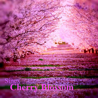 Sinex / - Cherry Blossom